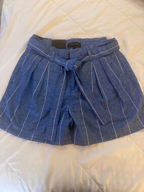 Banana Republic Navy Blue Pinstripe Paperbag Waist Shorts